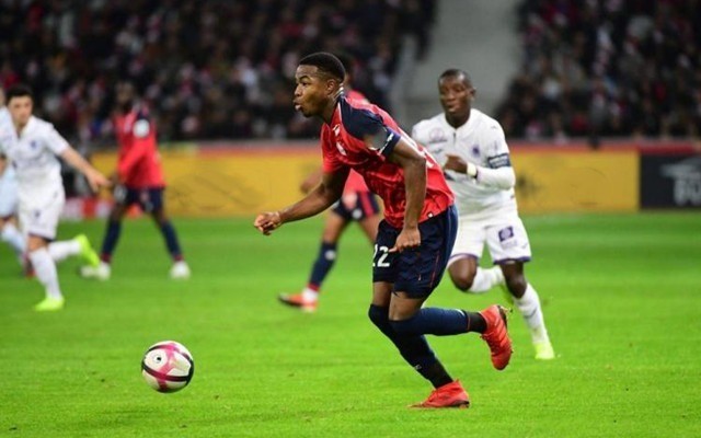 从这一夜起 从这一夜起